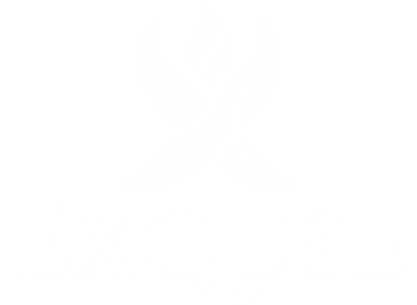 Exquse